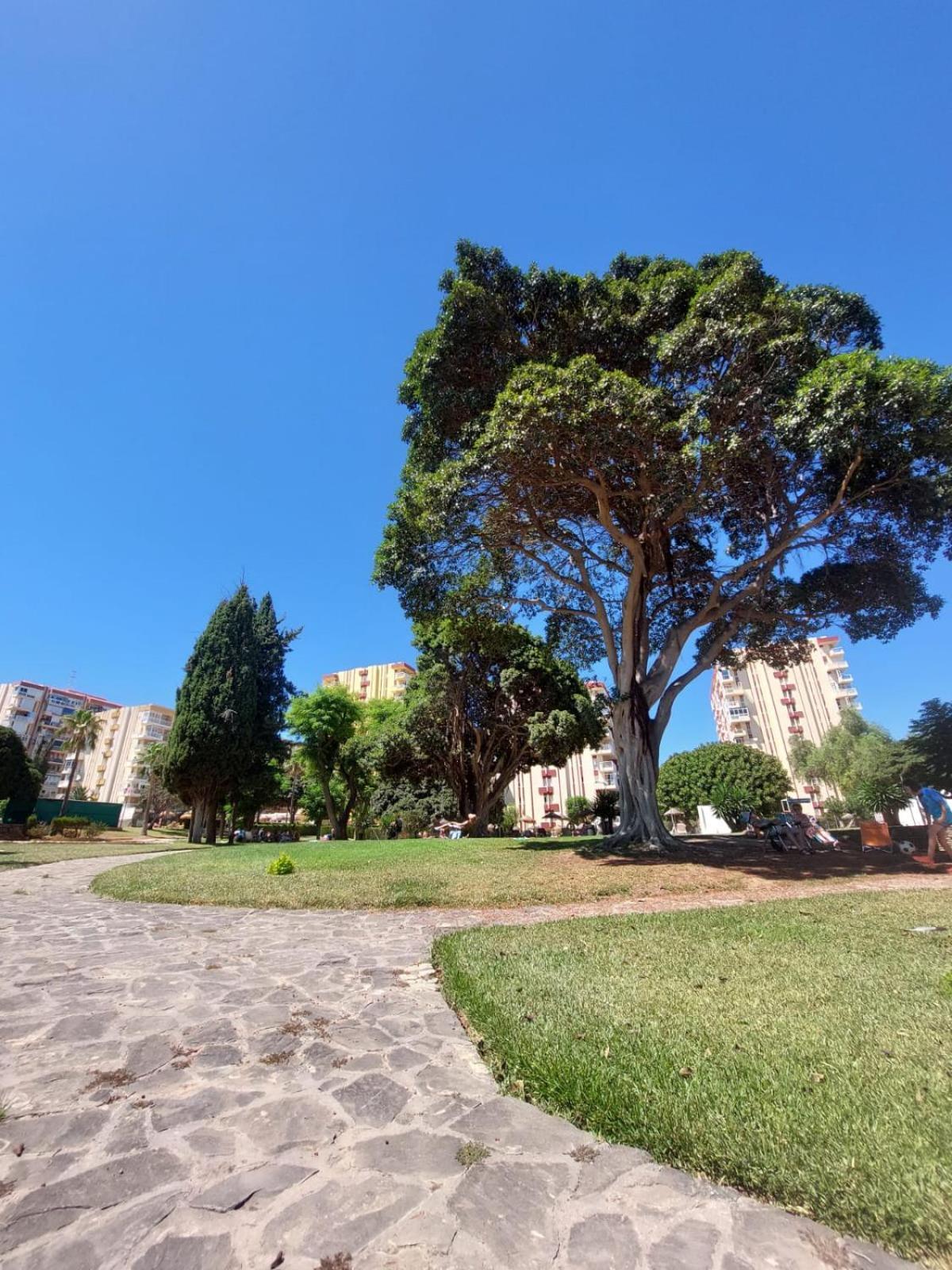 Studio Vista Costa Del Sol Бенальмадена Екстер'єр фото